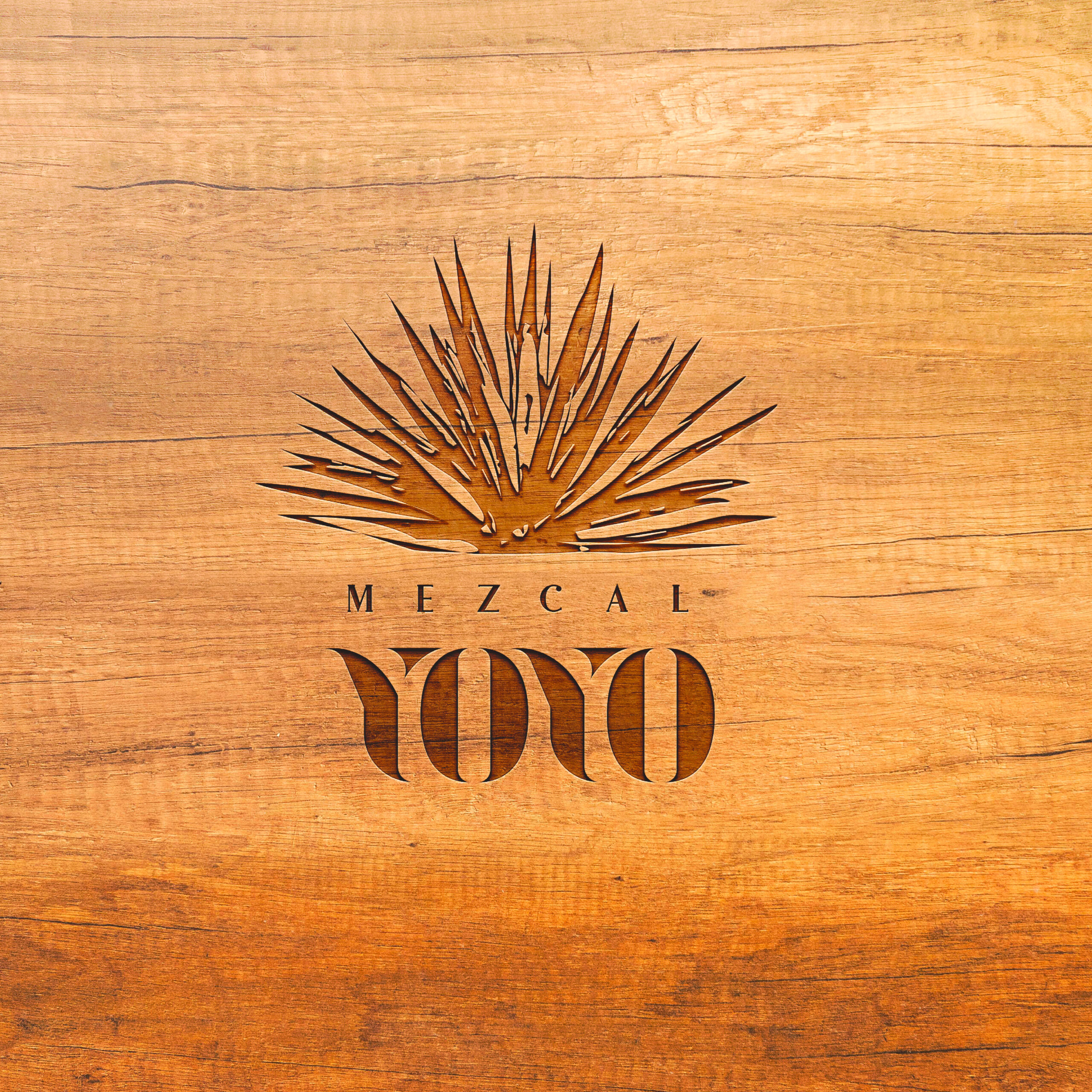 Portafolio Modigo-05