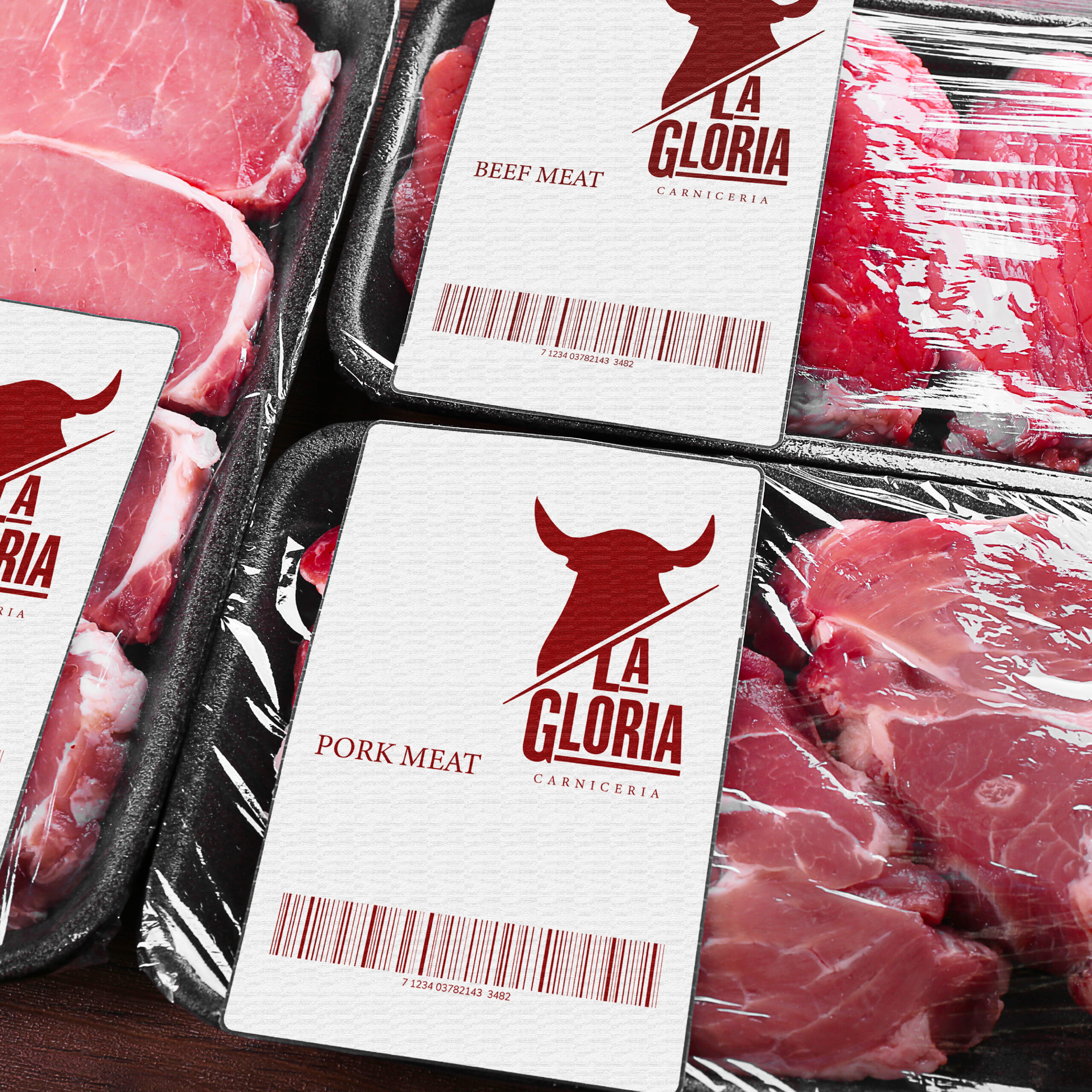 Portafolio Modigo-10