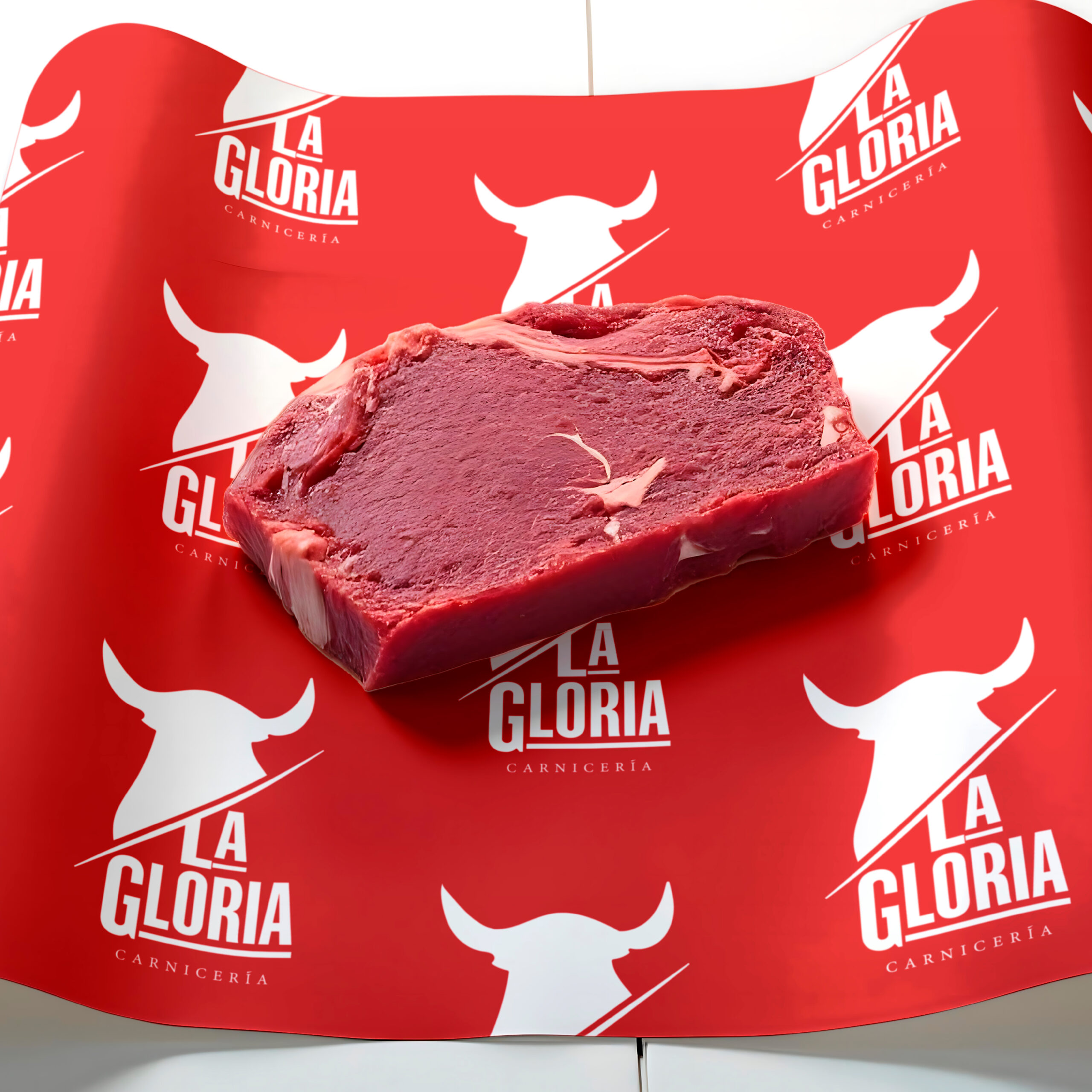 Portafolio Modigo-11