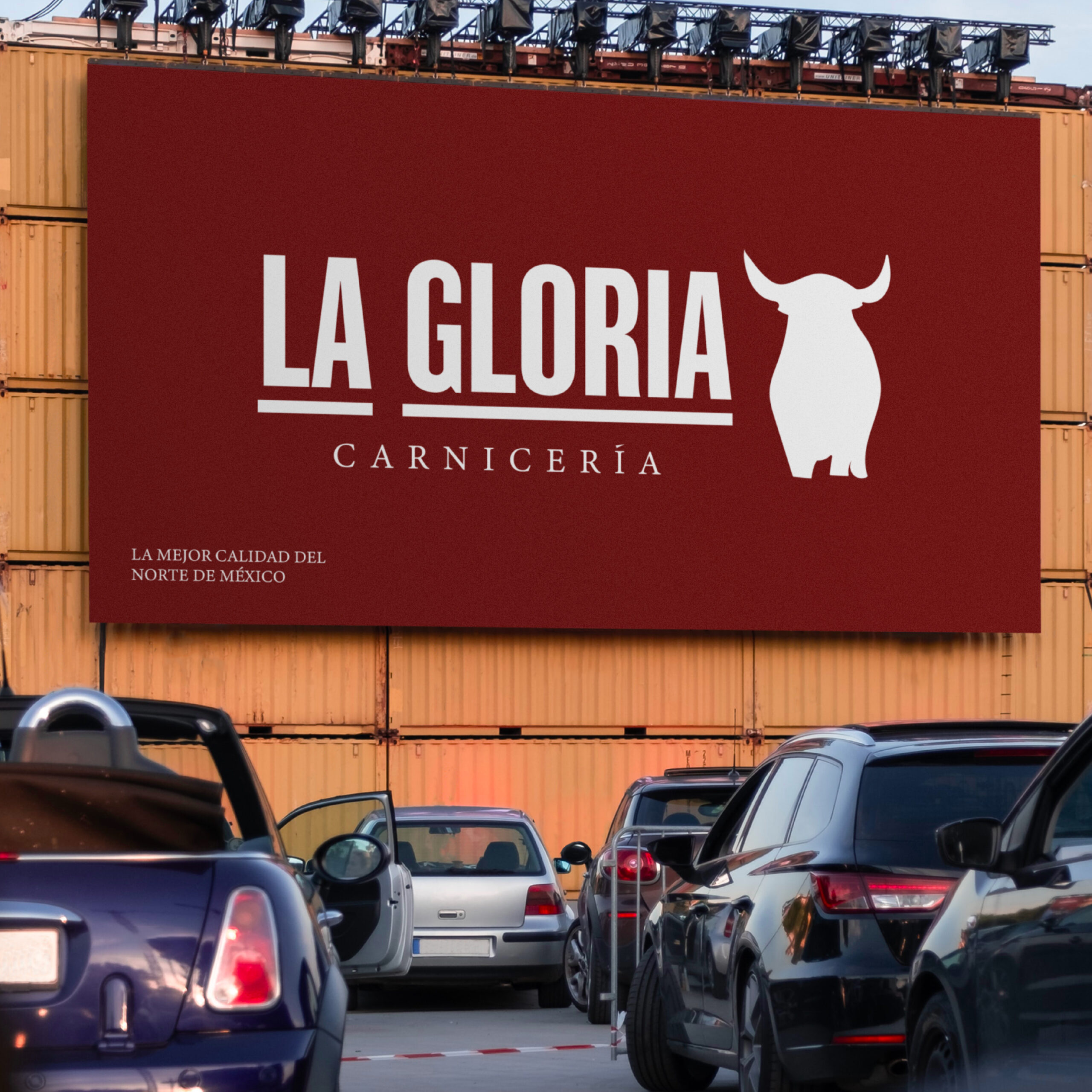 Portafolio Modigo-12